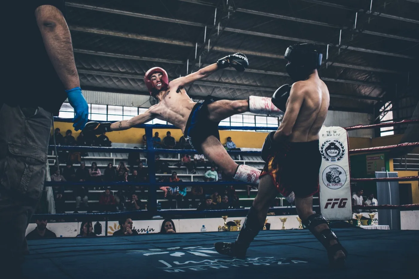 A sportoló szervezetének — sportedző (kick-box sportágban) képzés