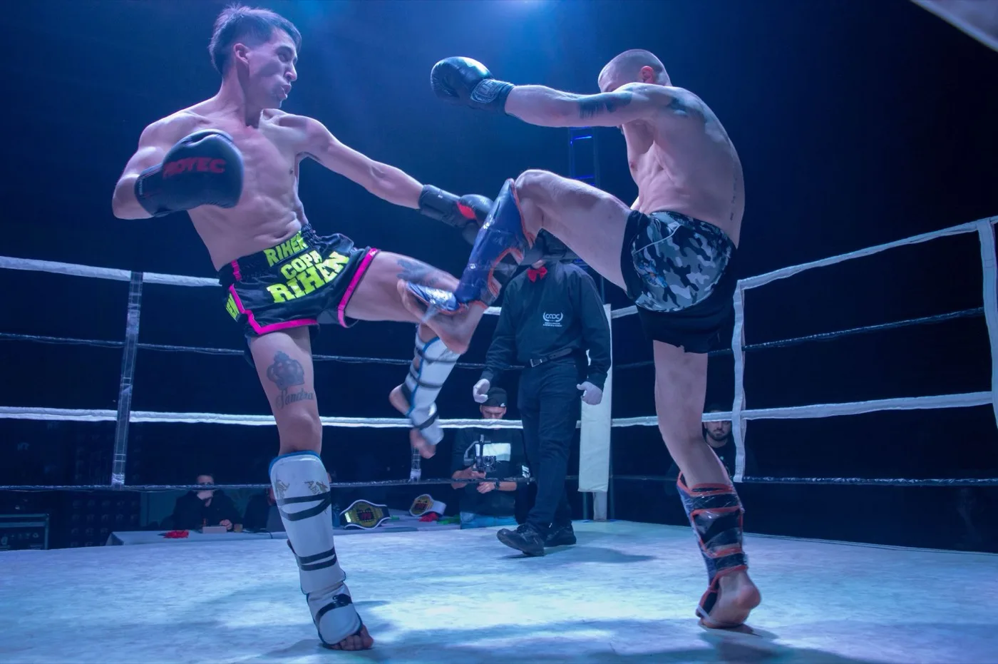 Edzéselméleti alapok — sportedző (kick-box sportágban) képzés