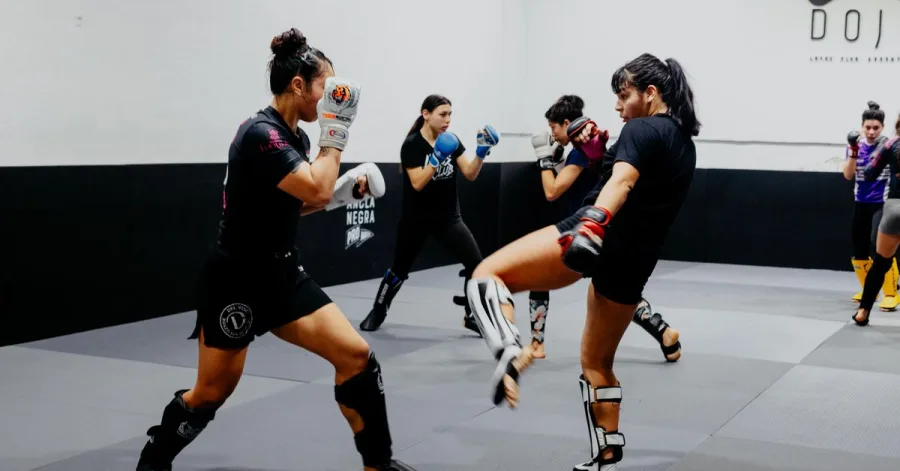 Sportedző (kick-box sportágban) képzés — MODELLO Intézet